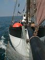 04 PIC00306